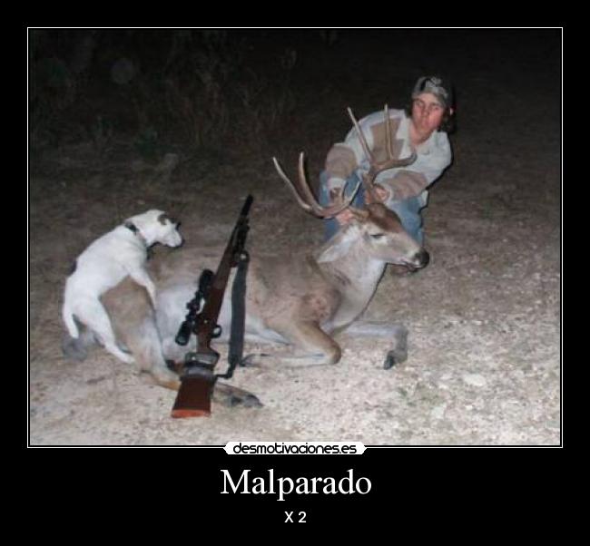 Malparado -