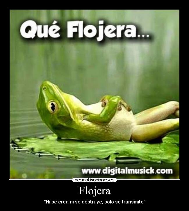 Flojera - 