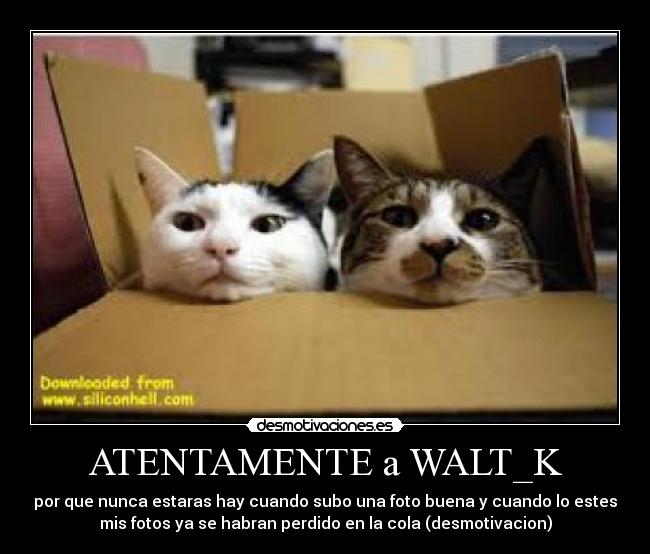 ATENTAMENTE a WALT_K - por que nunca estaras hay cuando subo una foto buena y cuando lo estes
mis fotos ya se habran perdido en la cola (desmotivacion)
