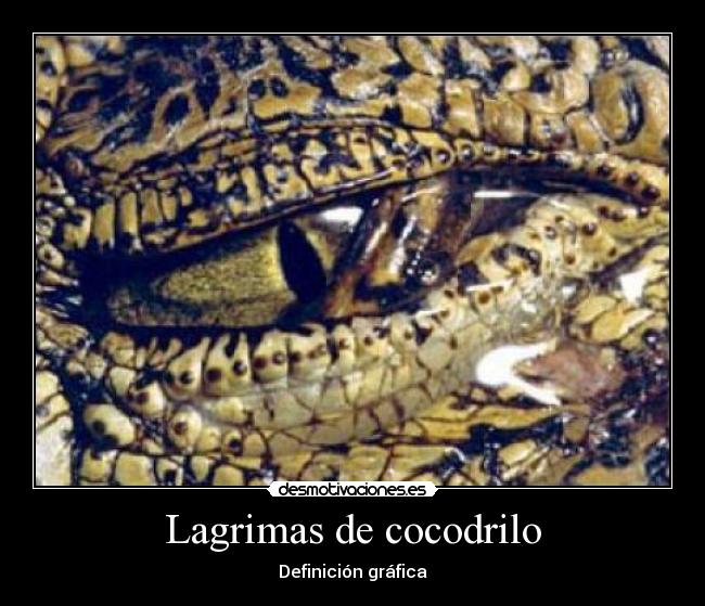carteles cocodrilos desmotivaciones