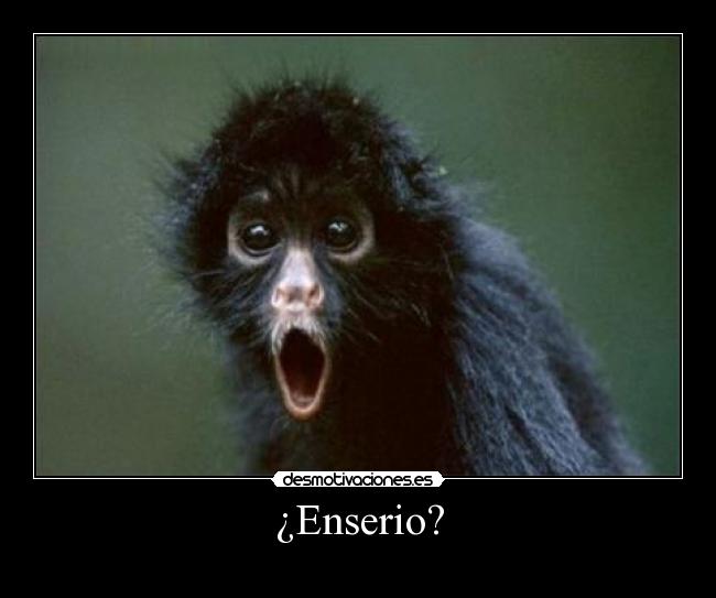 ¿Enserio? - 