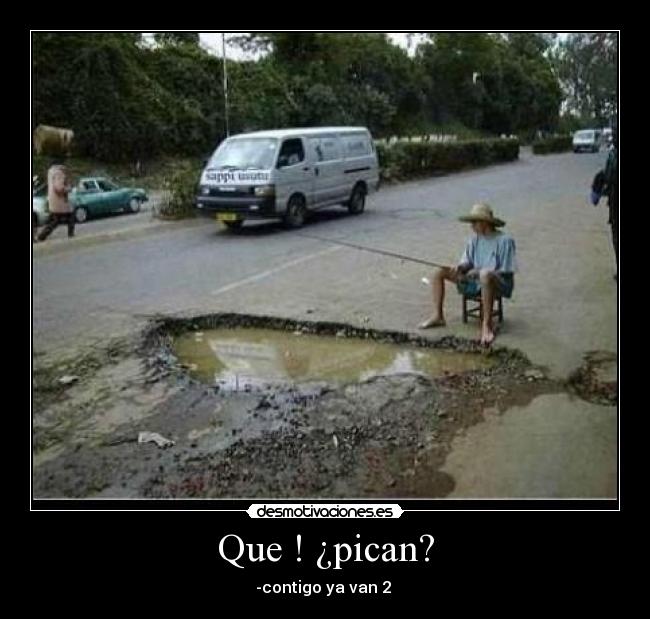 Que ! ¿pican? - 