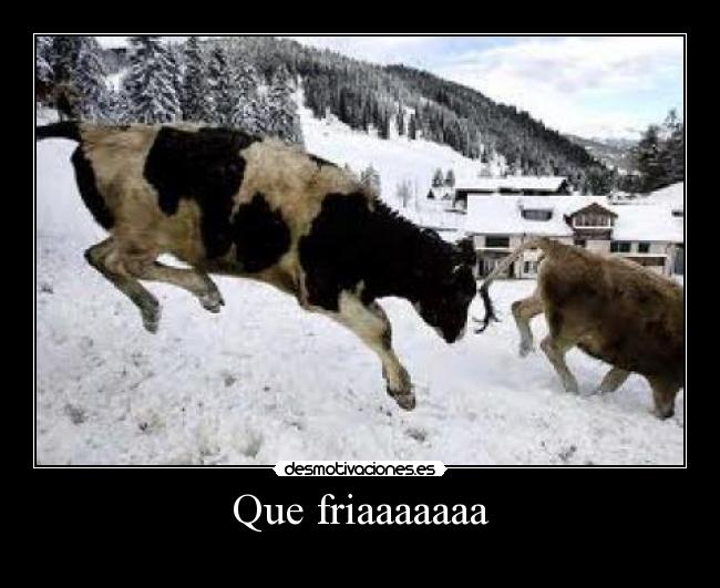 carteles fria desmotivaciones