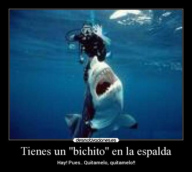 Tienes un bichito en la espalda -