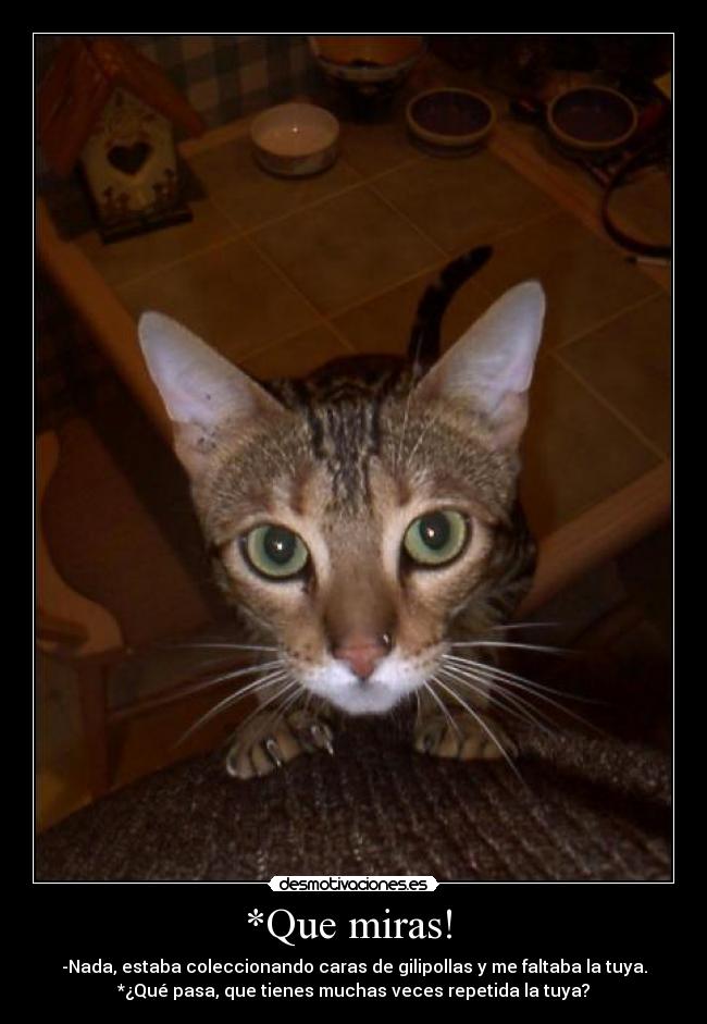 *Que miras! - -Nada, estaba coleccionando caras de gilipollas y me faltaba la tuya.
*¿Qué pasa, que tienes muchas veces repetida la tuya?