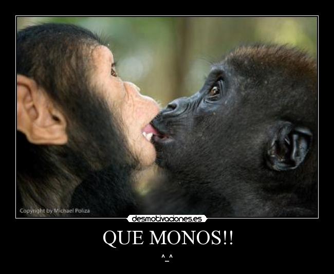 QUE MONOS!! -