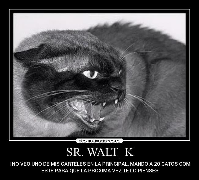 carteles srwalt_k desmotivaciones