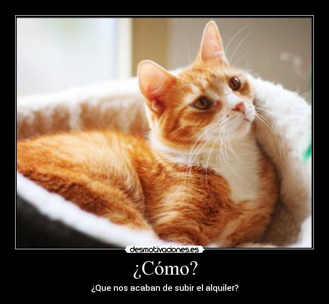¿Cómo? - ¿Que nos acaban de subir el alquiler?
