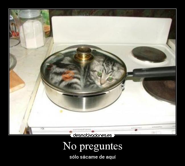 No preguntes -