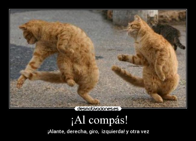 ¡Al compás! - ¡Alante, derecha, giro, izquierda! y otra vez