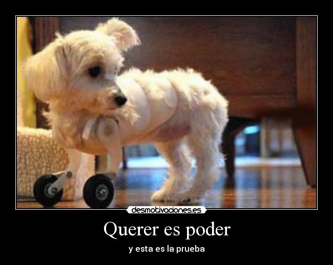 carteles querer poder desmotivaciones