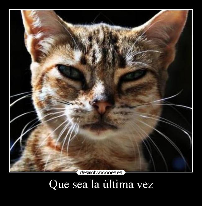 Que sea la última vez - 