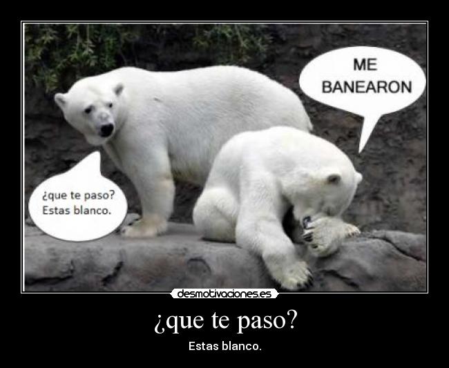¿que te paso? - Estas blanco.