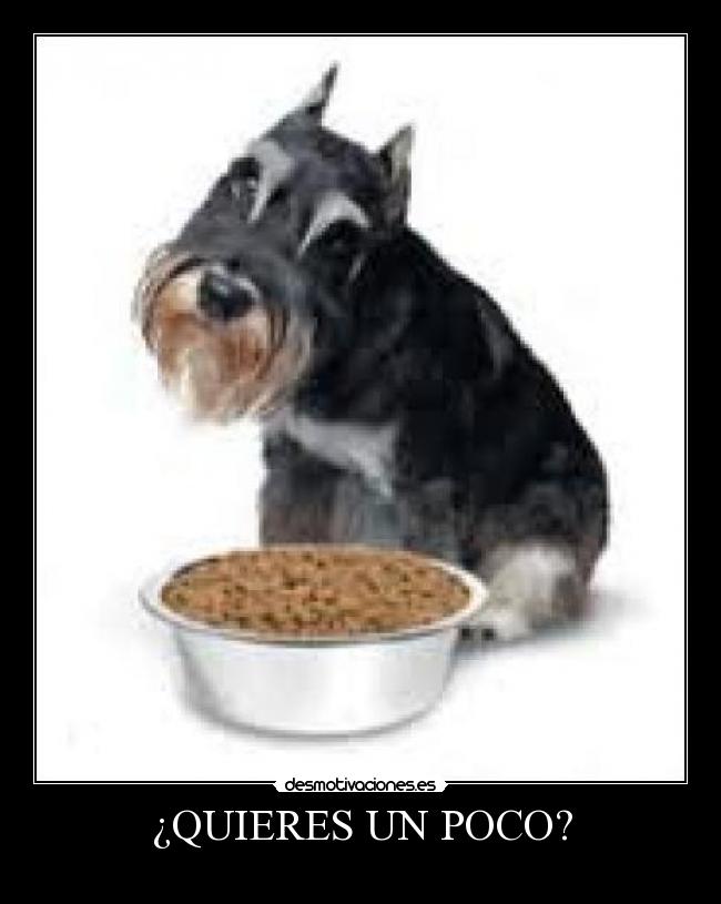 ¿QUIERES UN POCO? - 