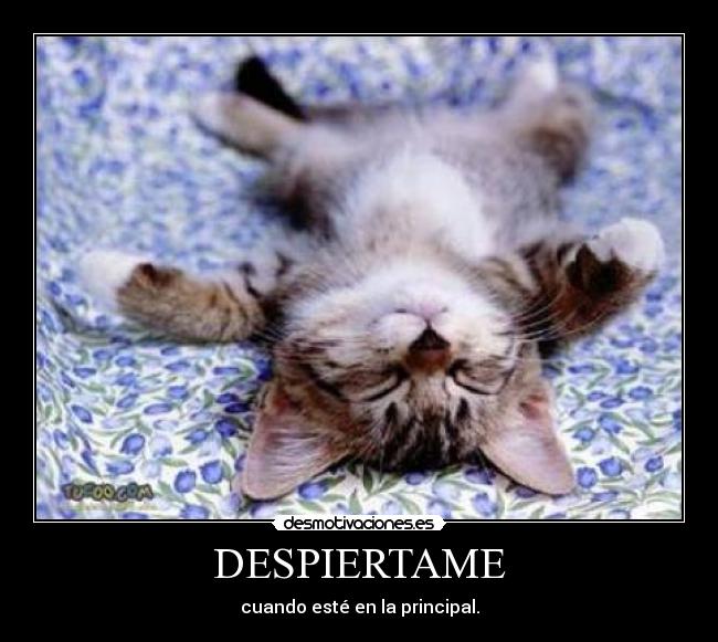 DESPIERTAME -