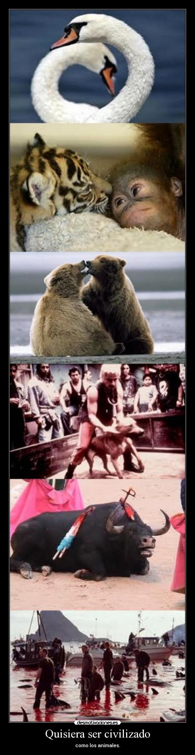 Quisiera ser civilizado -