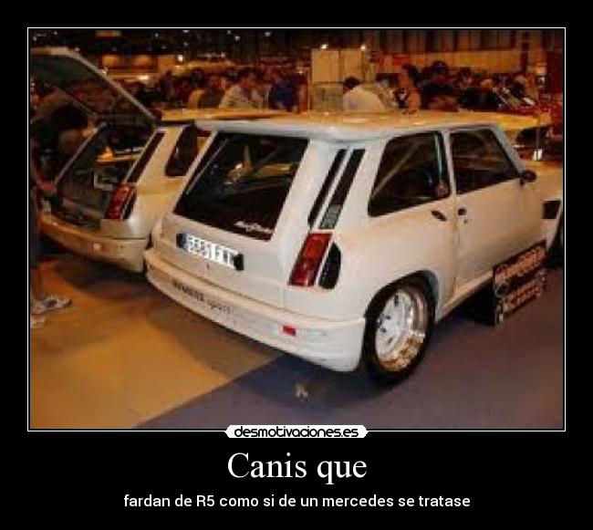 Canis que -