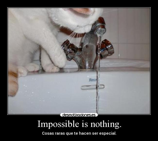 Impossible is nothing. - Cosas raras que te hacen ser especial.