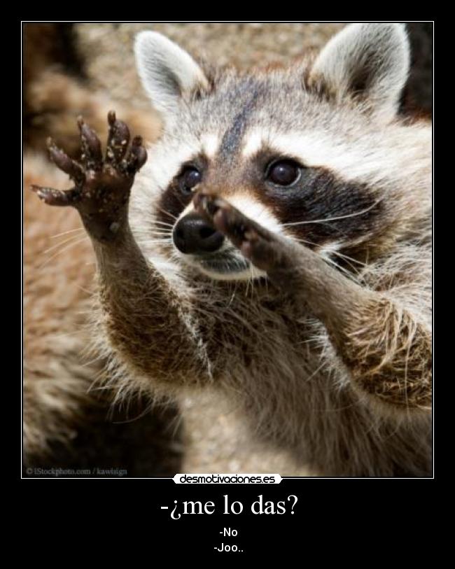 carteles mapache desmotivaciones