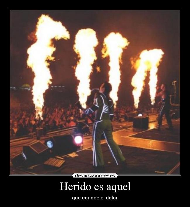 carteles rammstein dolor herido desmotivaciones
