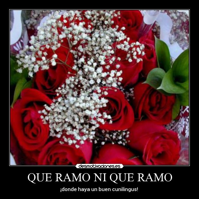 carteles que ramo que ramo desmotivaciones