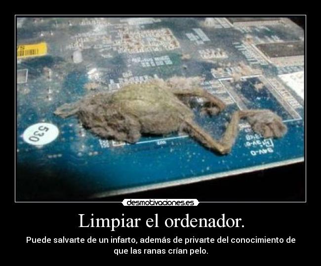 Limpiar el ordenador. -