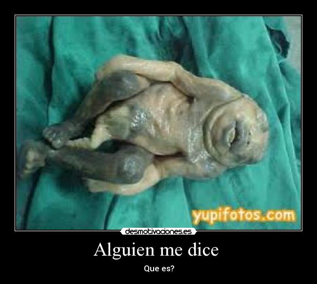 Alguien me dice - Que es?