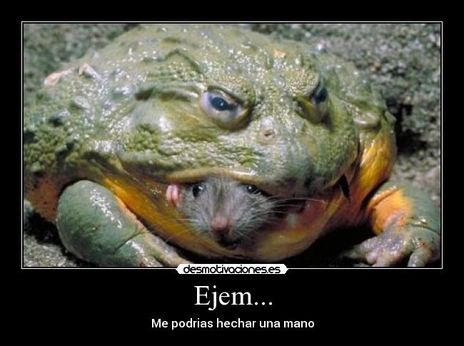 carteles rana desmotivaciones