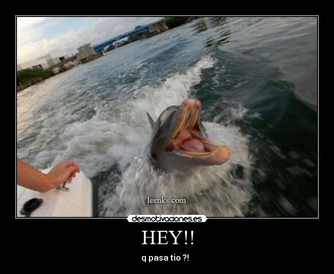 HEY!! -