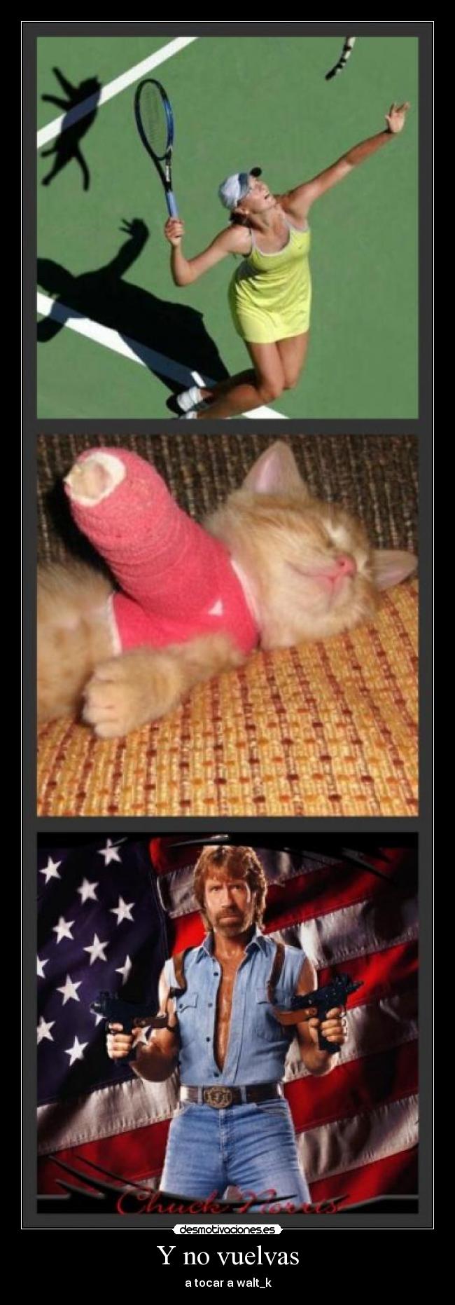 Y no vuelvas - a tocar a walt_k