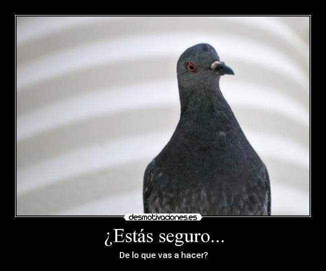 ¿Estás seguro... - De lo que vas a hacer?