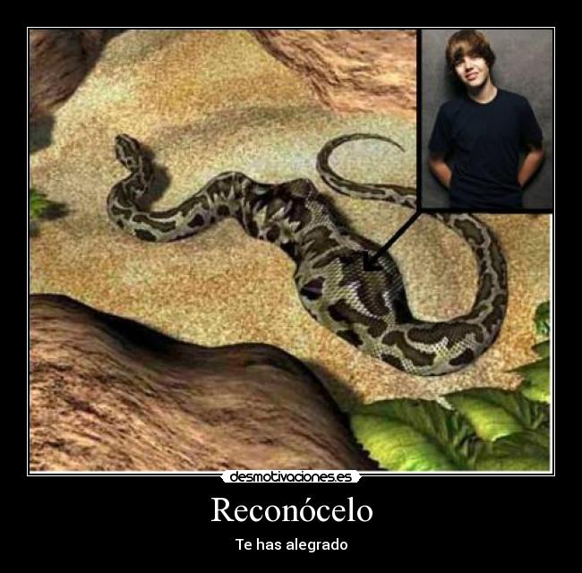 Reconócelo - Te has alegrado