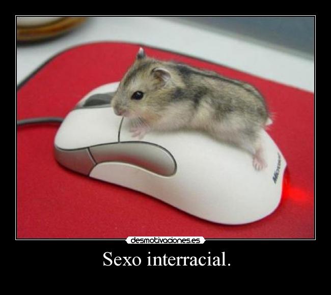 Sexo interracial. - 