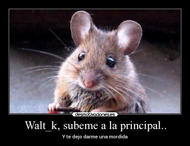 Walt_k, subeme a la principal.. - Y te dejo darme una mordida