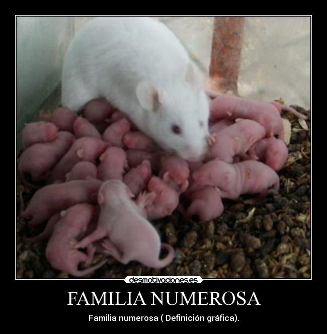 FAMILIA NUMEROSA - Familia numerosa ( Definición gráfica).