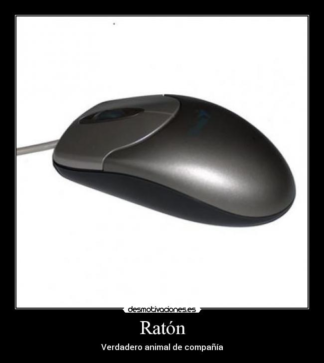 Ratón - 