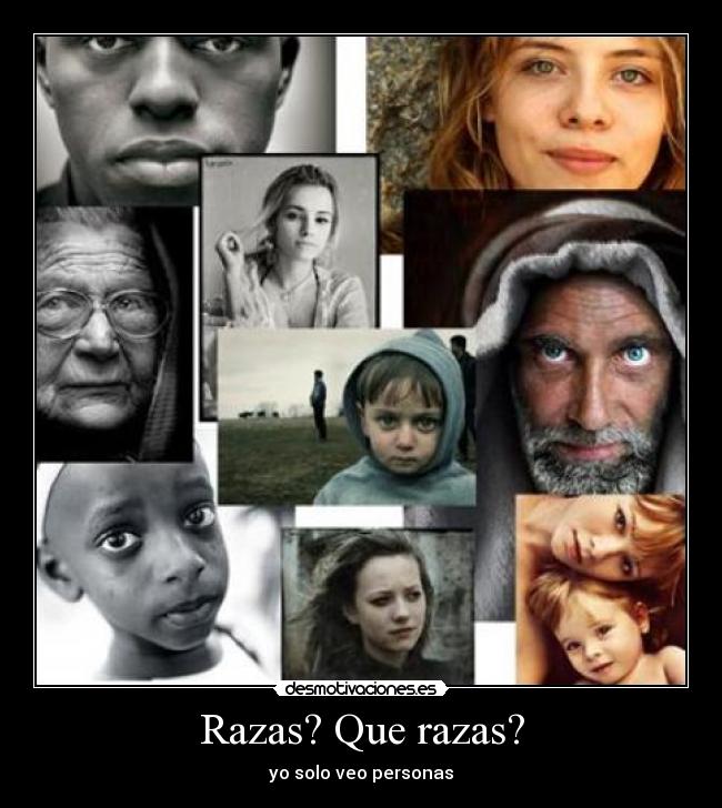 carteles alex23 desmotivaciones