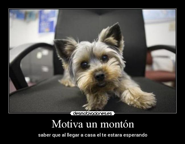 Motiva un montón - 