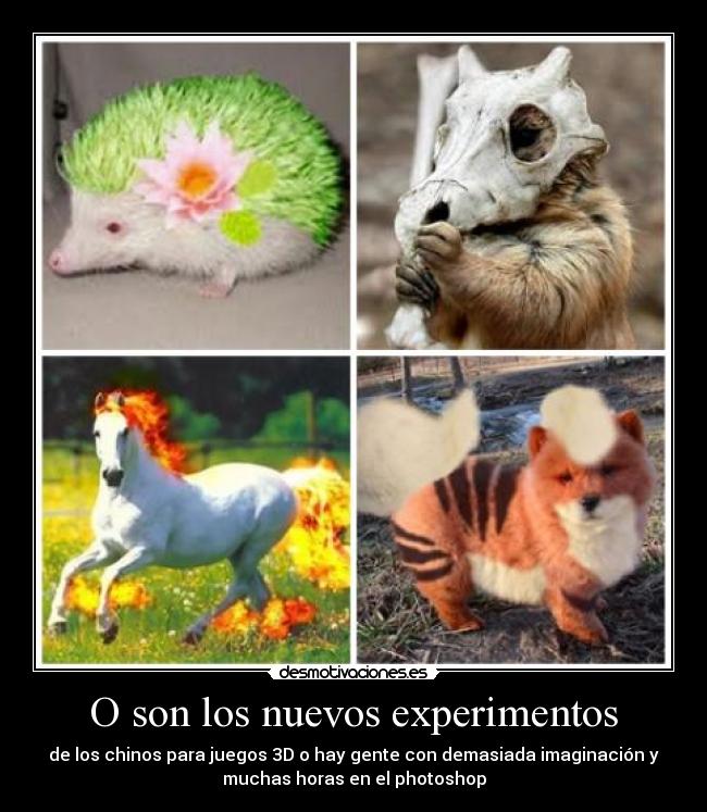 O son los nuevos experimentos - de los chinos para juegos 3D o hay gente con demasiada imaginación y
muchas horas en el photoshop