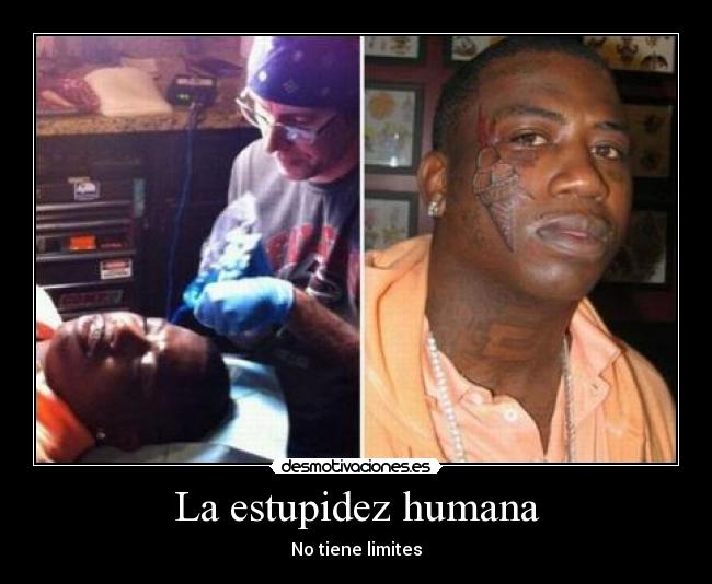 La estupidez humana - No tiene limites