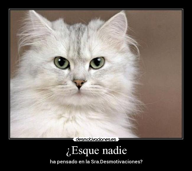¿Esque nadie -