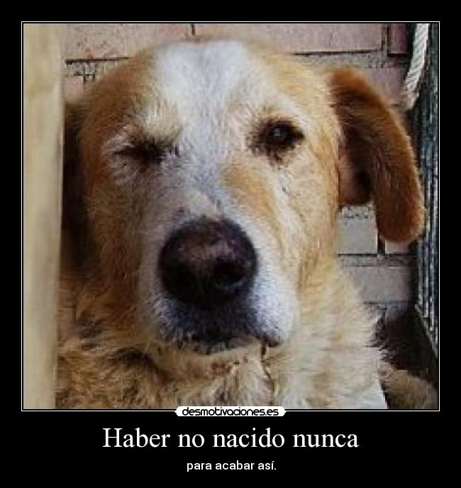 Haber no nacido nunca -