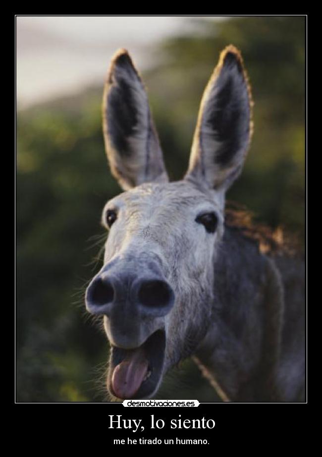 Huy, lo siento - me he tirado un humano.