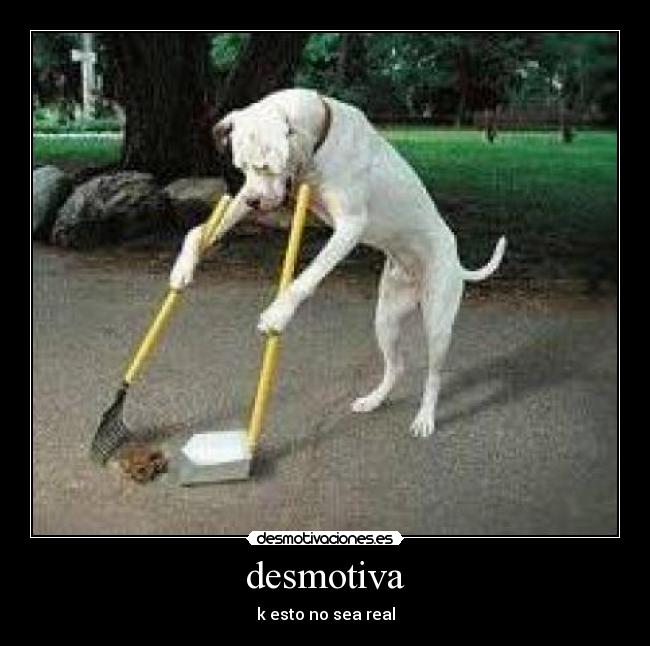 desmotiva -