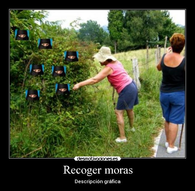 Recoger moras - 