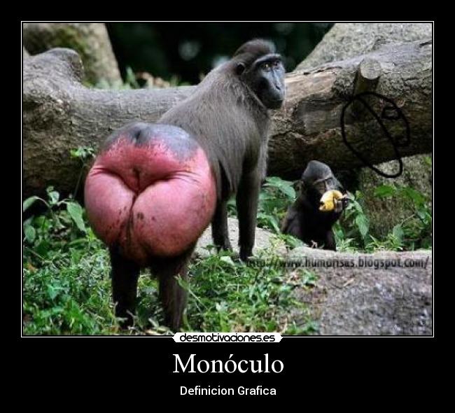 carteles monoculo desmotivaciones