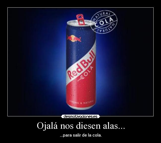 Ojalá nos diesen alas... - 