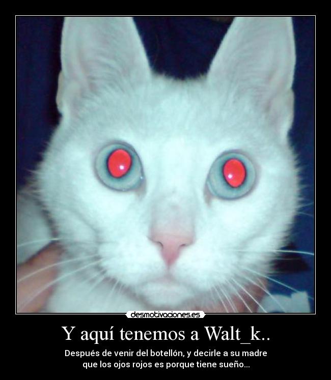 Y aquí tenemos a Walt_k.. - Después de venir del botellón, y decirle a su madre
que los ojos rojos es porque tiene sueño...