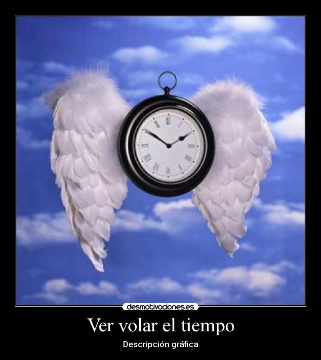 Ver volar el tiempo - 