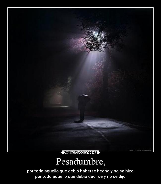 Pesadumbre, - por todo aquello que debió haberse hecho y no se hizo,
por todo aquello que debió decirse y no se dijo.